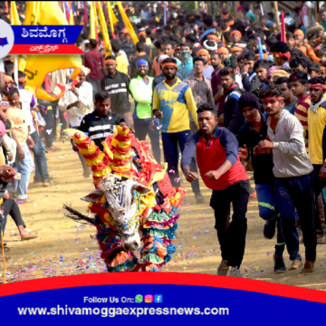 ಜನವರಿ 01 ಕ್ಕೆ ಸೊರಬ ಬೆಣ್ಣಿಗೇರೆ ಗ್ರಾಮದಲ್ಲಿ ಹೋರಿ ಓಡಿಸುವ ಸ್ಪರ್ಧೆ 