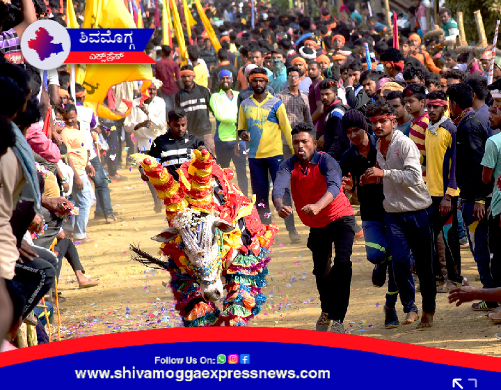ಜನವರಿ 01 ಕ್ಕೆ ಸೊರಬ ಬೆಣ್ಣಿಗೇರೆ ಗ್ರಾಮದಲ್ಲಿ ಹೋರಿ ಓಡಿಸುವ ಸ್ಪರ್ಧೆ 