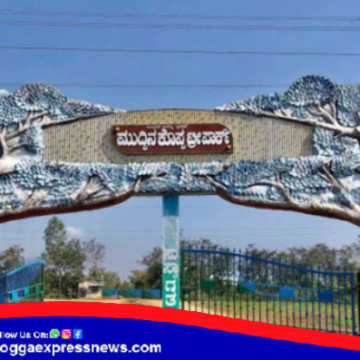 ಮುದ್ದಿನಕೊಪ್ಪದ ಟ್ರೀ ಪಾರ್ಕ್​ನಲ್ಲಿ ಜಿಂಕೆ ಪ್ರತಿಮೆ ಉರುಳಿಬಿದ್ದು ಬಾಲಕಿ ಸಾವು !