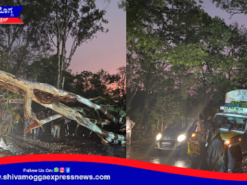 ಭಾರಿ ಗಾಳಿ ಮಳೆಗೆ ರಸ್ತೆಗೆ ಅಡ್ಡಲಾಗಿ ಬಿದ್ದ ಮರ ! ವಾಹನ ಸಂಚಾರ ಅಸ್ತವ್ಯಸ್ತ !