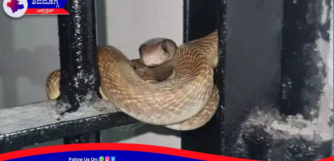 ತಪ್ಪು ಮಾಡದೆಯೇ ಶಿವಮೊಗ್ಗ ಜೈಲು ಸೇರಿದ ನಾಗಪ್ಪ !