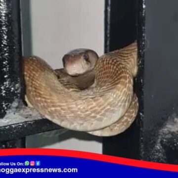 ತಪ್ಪು ಮಾಡದೆಯೇ ಶಿವಮೊಗ್ಗ ಜೈಲು ಸೇರಿದ ನಾಗಪ್ಪ !