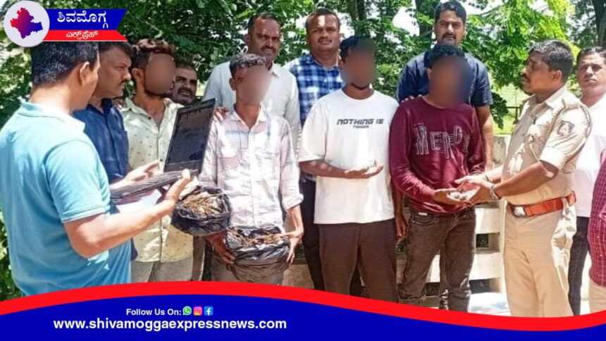 ಸಹ್ಯಾದ್ರಿ ಕಾಲೇಜ್ ಹಿಂಬಾಗ  ನಾಲ್ವರು ಯುವಕರು ಅರೆಸ್ಟ್ ! ಕಾರಣ ಏನು ?