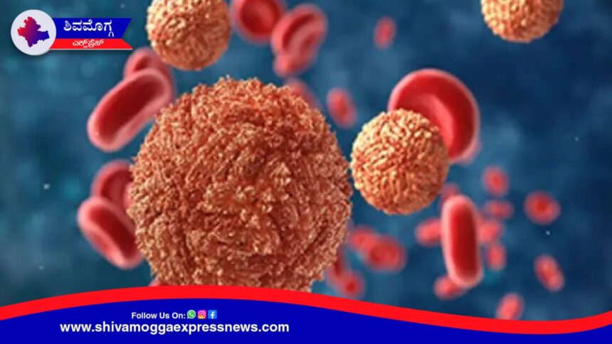 ರಾಜ್ಯದಲ್ಲಿ ಝಿಕಾ ವೈರಸ್  ಗೆ ಮೊದಲ ಬಲಿ ! ಶಿವಮೊಗ್ಗದಲ್ಲಿ 74 ವರ್ಷದ ವೃದ್ಧ ಸಾವು ! ಡೆಂಗ್ಯೂ ಭೀತಿ ಬೆನ್ನಲ್ಲೇ ಝಿಕಾ ಆತಂಕ !