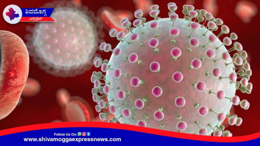 ಶಿವಮೊಗ್ಗದಲ್ಲಿ ಝಿಕಾ ವೈರಸ್ ಗೆ 73 ವರ್ಷದ ವೃದ್ಧ ಬಲಿ !