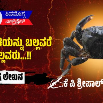 ಏಡಿ ರುಚಿಯನ್ನು ಬಲ್ಲವರೆ ಬಲ್ಲವರು…!