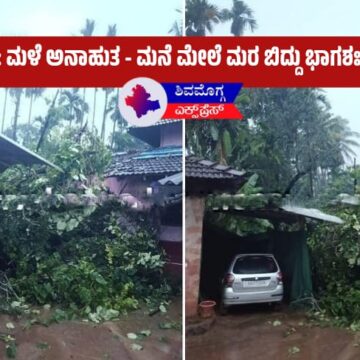 ಶಿವಮೊಗ್ಗ : ಮಳೆ ಅನಾಹುತ – ಮನೆ ಮೇಲೆ ಮರ ಬಿದ್ದು ಭಾಗಶಃ ಹಾನಿ! 🌧️