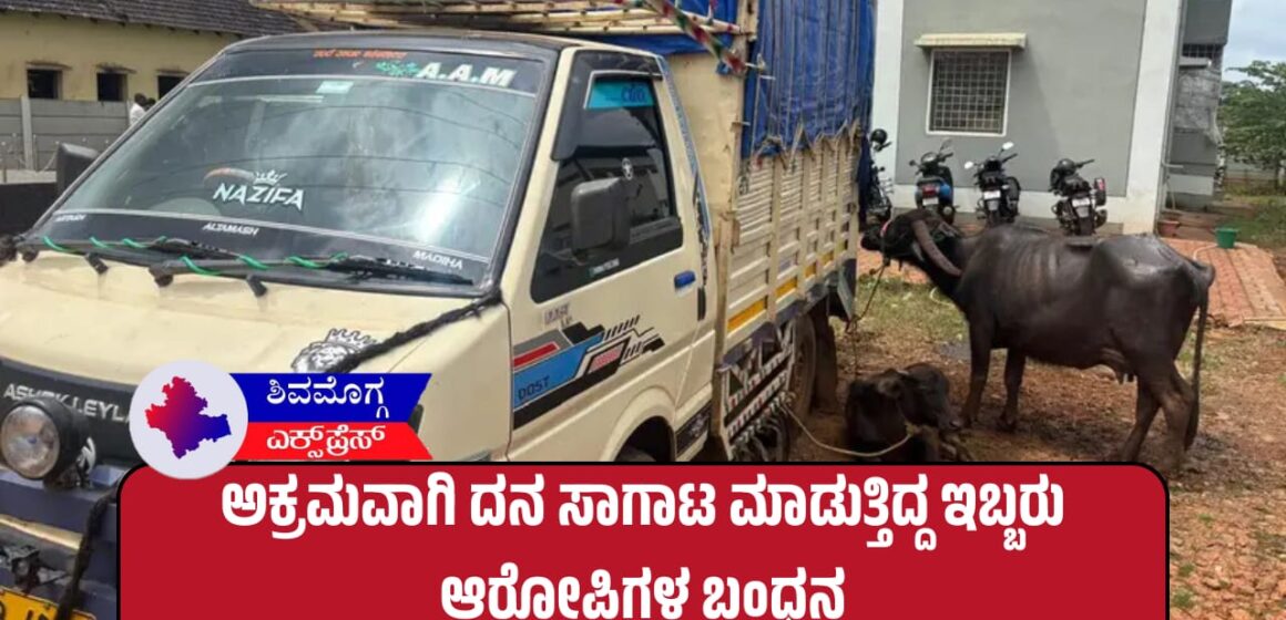 ಅಕ್ರಮವಾಗಿ ದನಗಳನ್ನು ಸಾಗಾಟ ಮಾಡುತ್ತಿದ್ದ ಇಬ್ಬರು ಆರೋಪಿಗಳ ಬಂಧನ