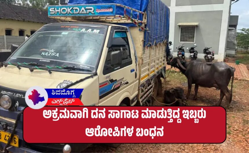 ಅಕ್ರಮವಾಗಿ ದನಗಳನ್ನು ಸಾಗಾಟ ಮಾಡುತ್ತಿದ್ದ ಇಬ್ಬರು ಆರೋಪಿಗಳ ಬಂಧನ